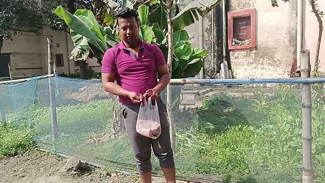 আজ প্রথমবার আমার বর একটি কাজের কাজ করলো 🫣🫣 #farming #gharkikheti #home #fouryou #foryou 