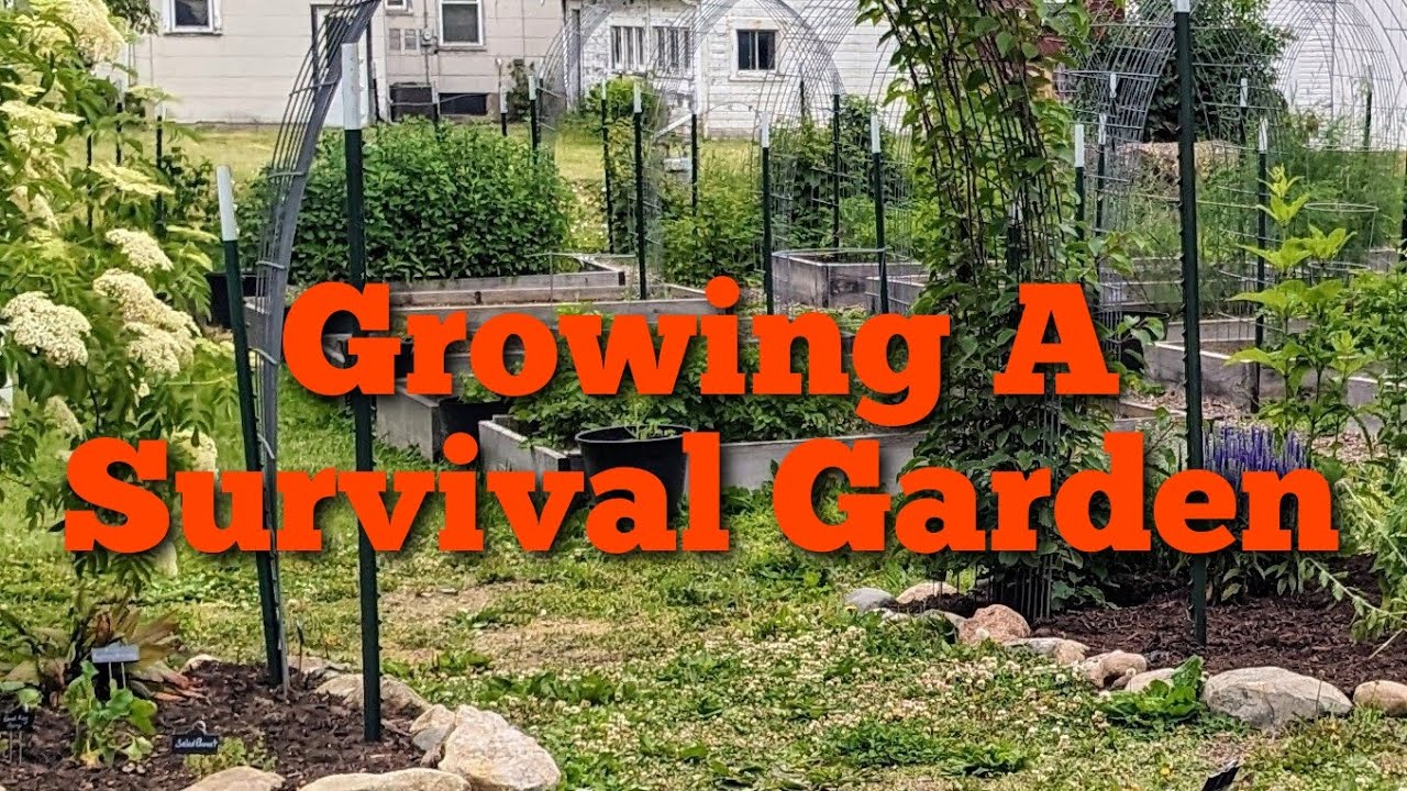 Growing a prepper's survival garden in Zone 6a
