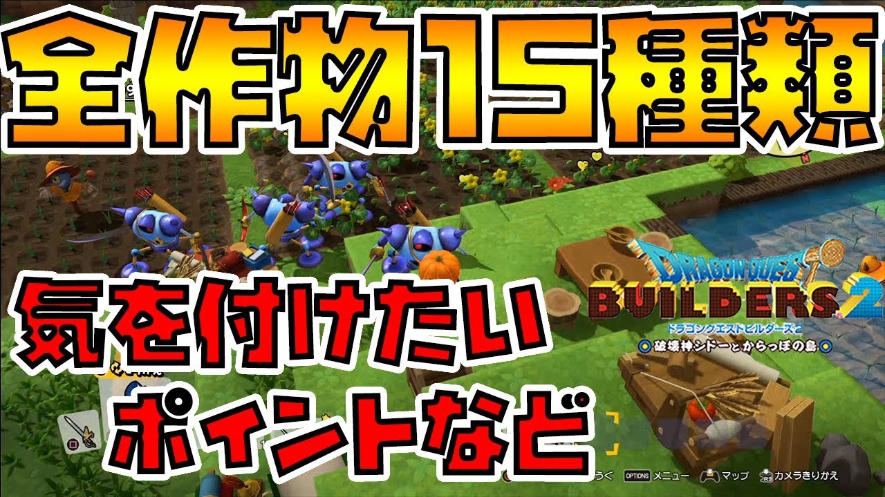 【ドラゴンクエストビルダーズ2】全作物15種類！注意点等【DQB2】