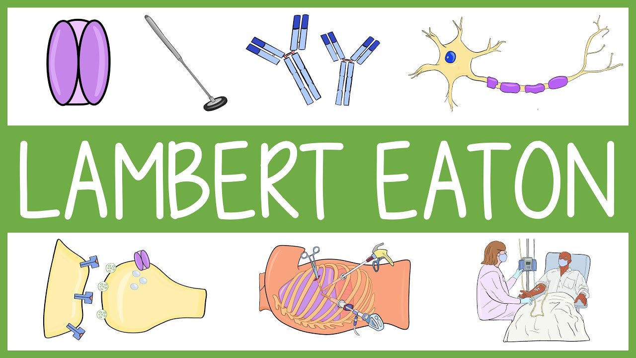 Lambert Eaton Visually Explained