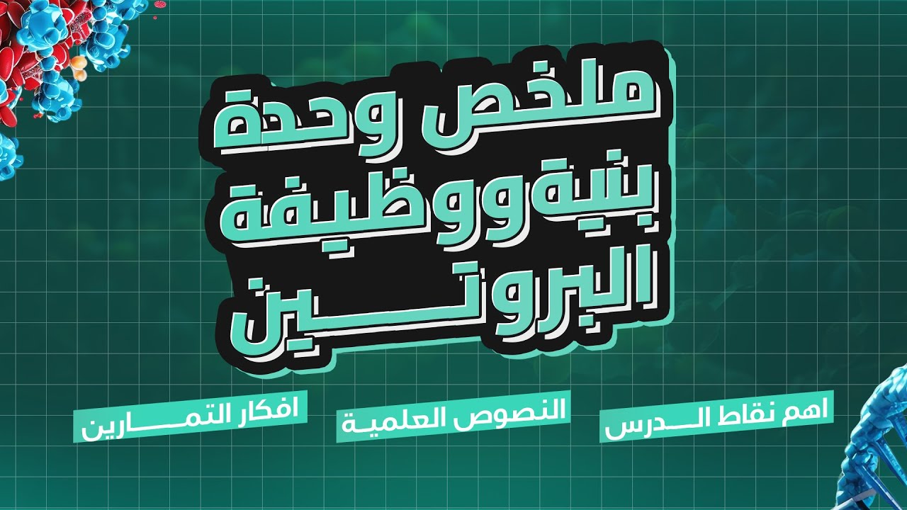 ملخص الوحدة الثانية : العلاقة بين بنية ووظيفة البروتين (كل ما تحتاج حفظه )