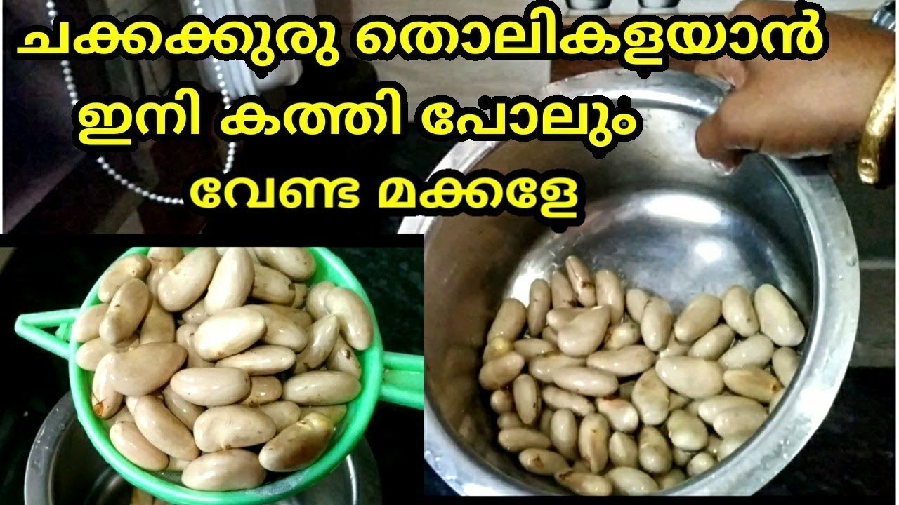 എത്ര ചക്കക്കുരുവും കത്തിയില്ലാതെനിമിഷനേരം കൊണ്ട് തൊലി കളയുന്നത് കണ്ടോളി ണ്ണ്യാളേ