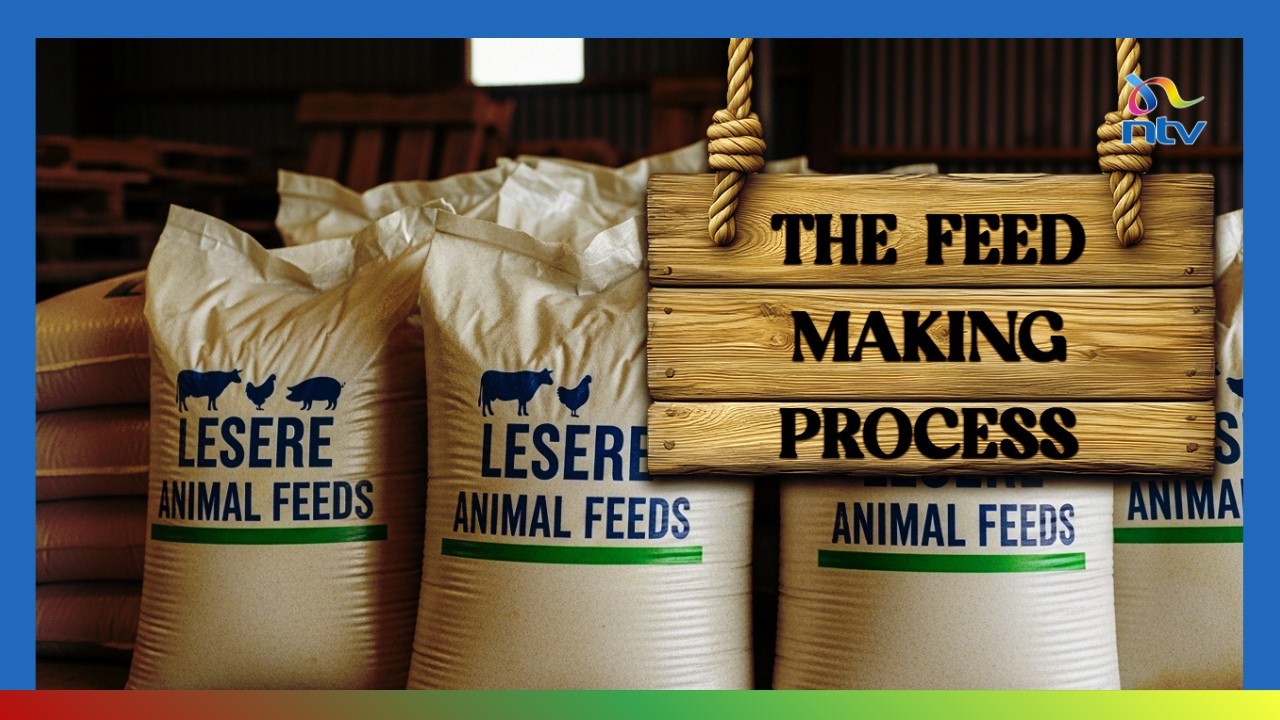 Inside an Animal Feed Factory: How Trade Finance Powers Production | Market Place