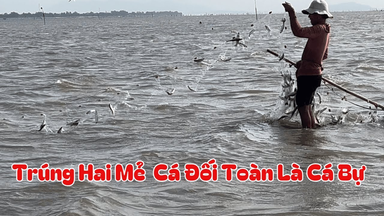Ngư dân Cần Giờ đầu nước trúng đậm hai mẻ cá đối toàn là cá bự