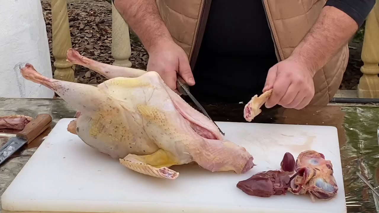 HİNDUŞKA LƏVƏNGİSİ/ индюк лавaнги