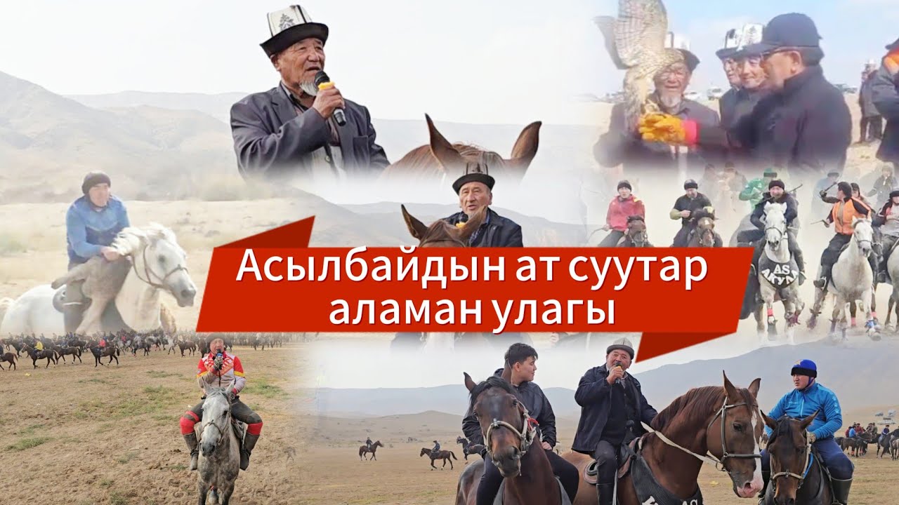 Асылбайдын ат суутар аламан улагы.01.11.2025.