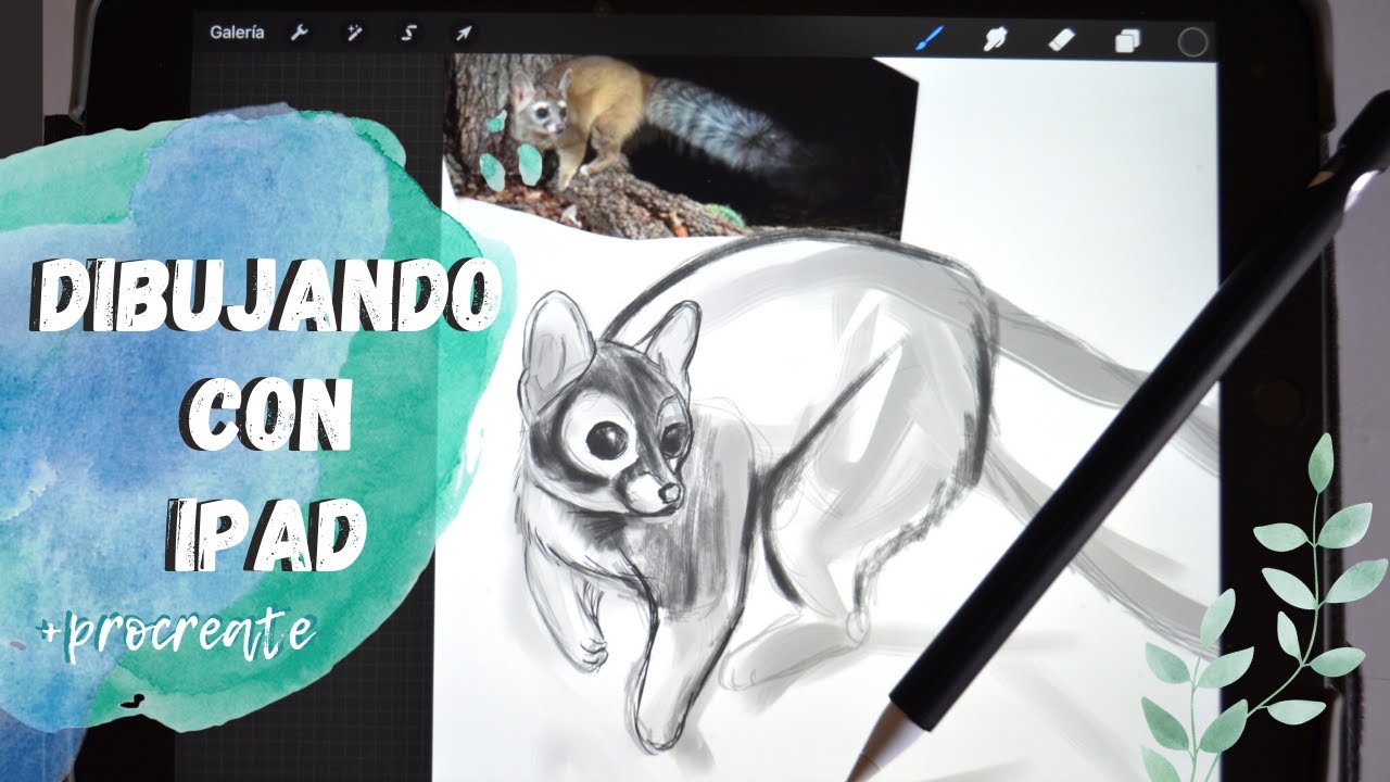 Mi experiencia dibujando con procreate (+ ipad  2019 + apple pencil) / ilustración digital