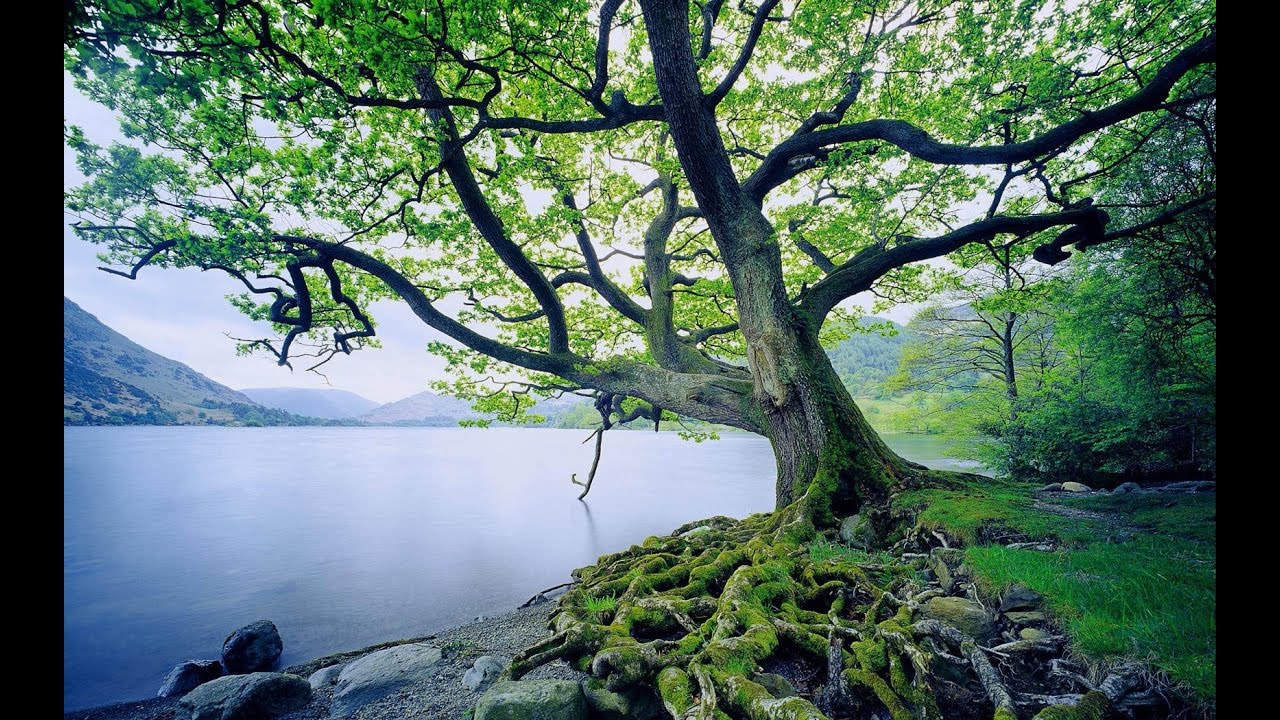Rooted in Christ- How to build your Spirit Man! - By Prophet Theodore