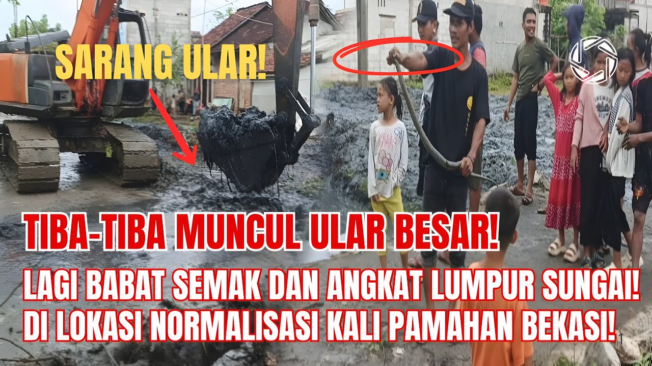 TIBA-TIBA MUNCUL ULAR BESAR❗DI NORMALISASI KALI PAMAHAN BEKASI❗LAGI BABAT SEMAK & ANGKAT LUMPUR❗#kdm