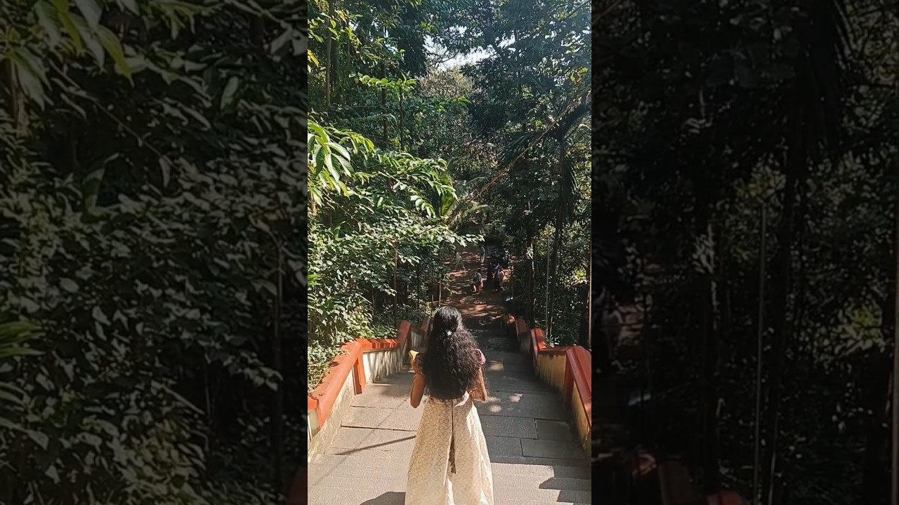 കല്ലിൽ ഭഗവതി ക്ഷേത്രം ❤️|Temple Date|Sunday|Methala Kallil Temple|#devitemple #ytshorts #peace #yt