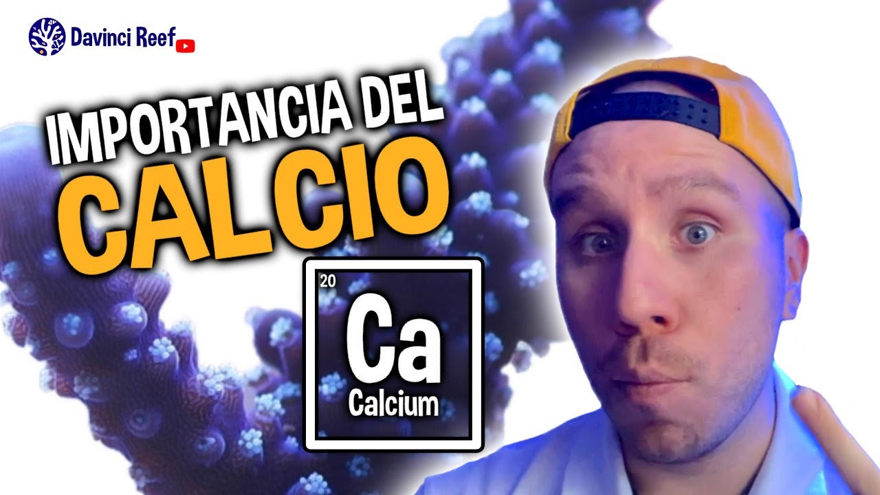 Calcio para Acuarios Marinos - Importancia y su impacto en tus corales. 🦀🐠😎