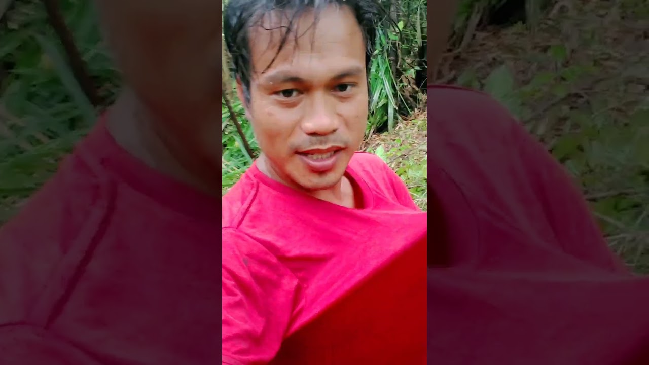 Buhay Probinsyano harasan tymm(junz tv) farmers 