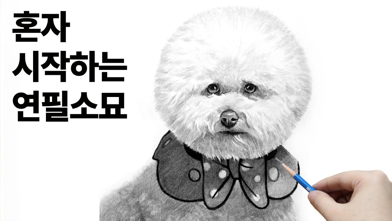 털질감 표현을 쉽게 하는 방법 / 연필소묘, 그림독학 pencil drawing