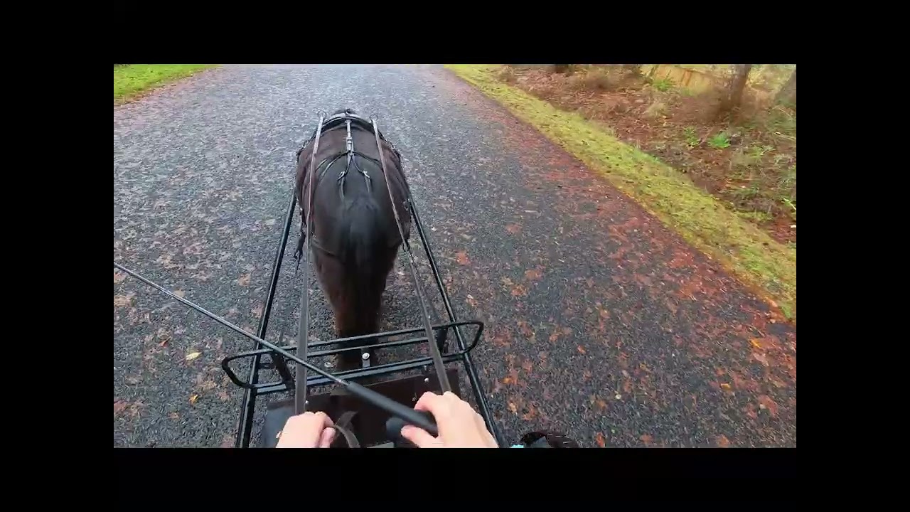 Week 10 - Road work!