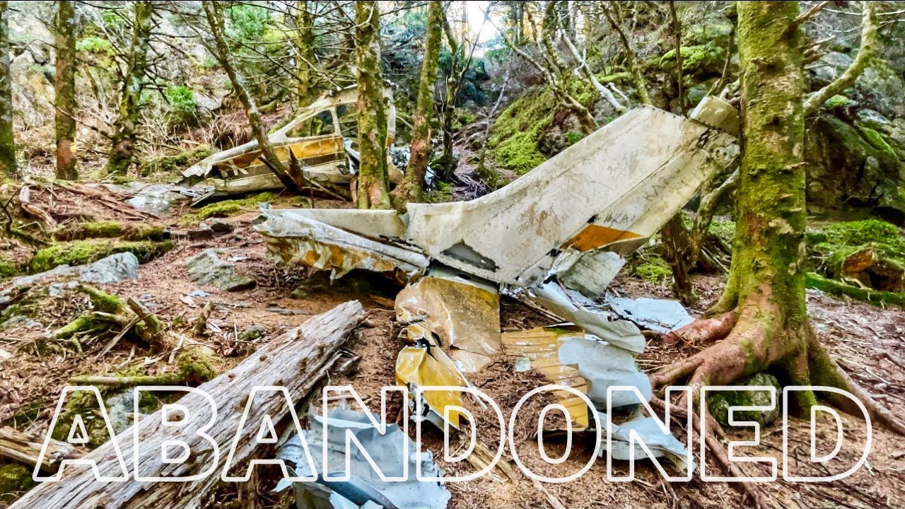 Mount Mitchell Plane Crash - Hike & Guide - Blue Ridge Parkway - Hike Vlog 17