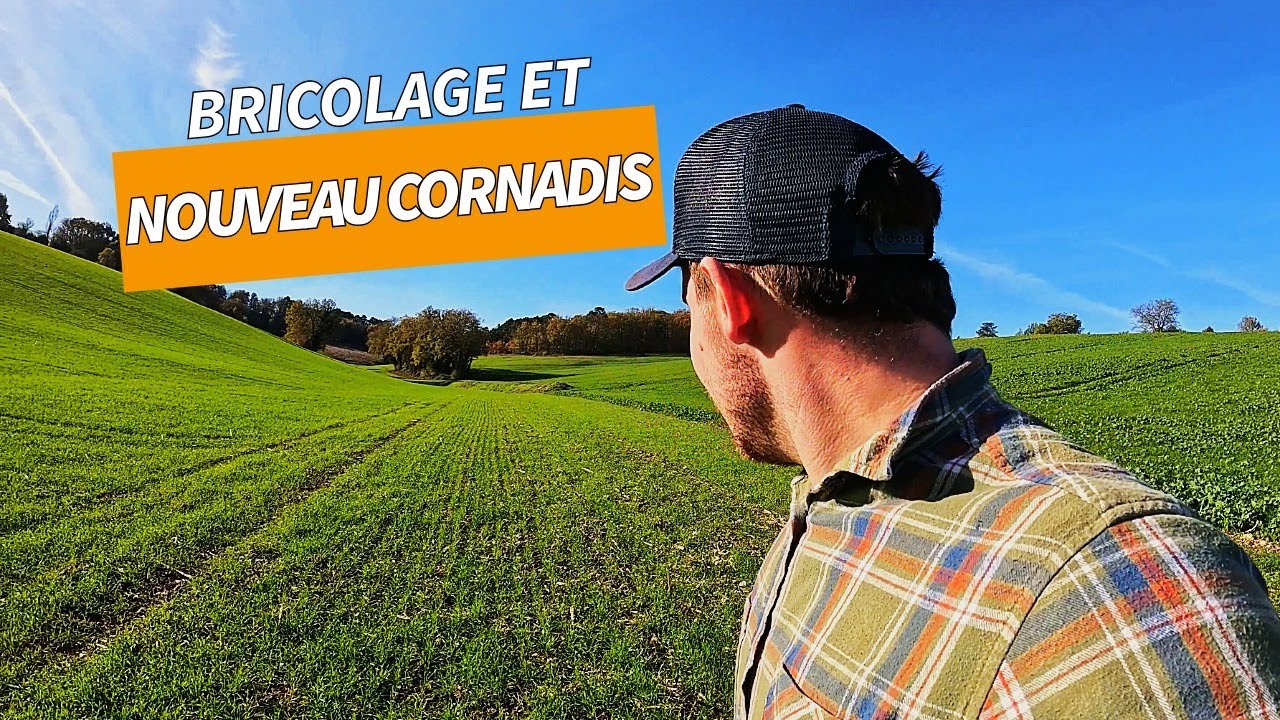 DESHERBAGE COLZA, NOUVEAU CORNADIS ET LIVRAISON DE FOIN