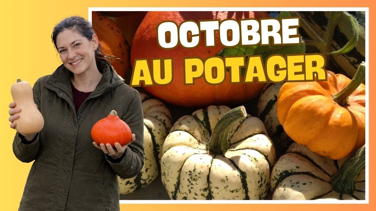 Petits travaux du mois d'octobre au potager