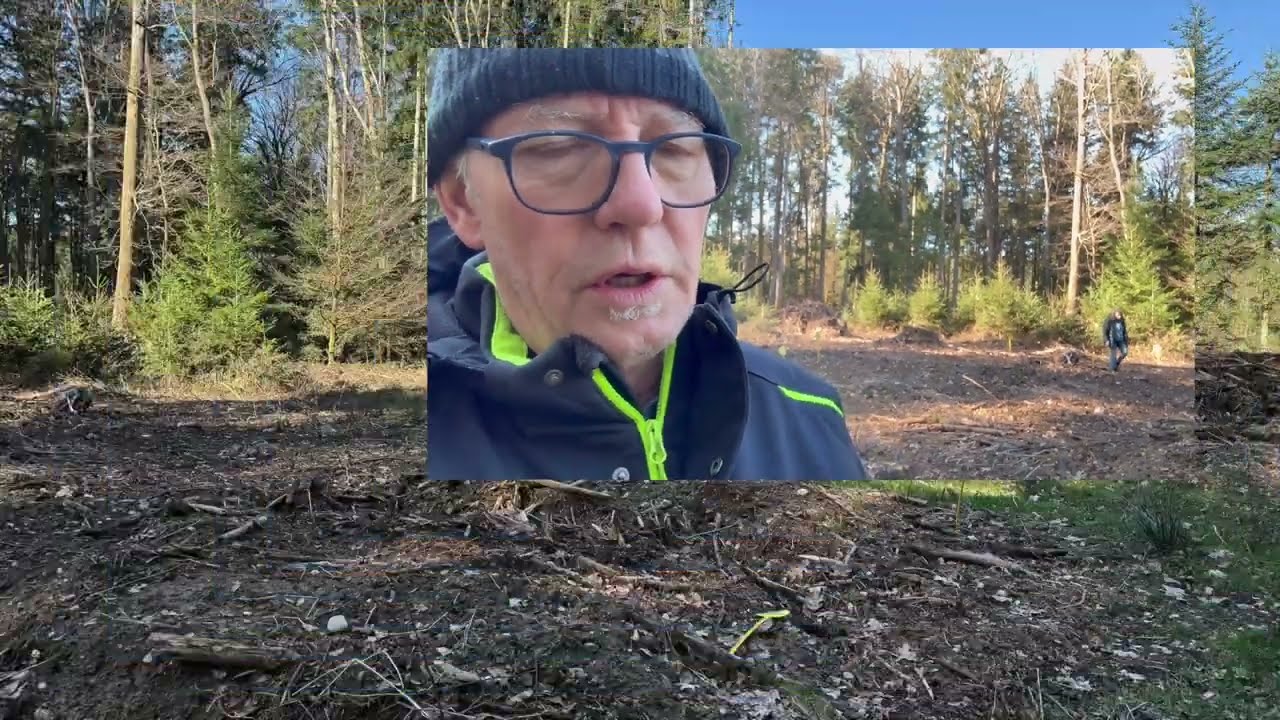 was läuft bei Bauer Housi?