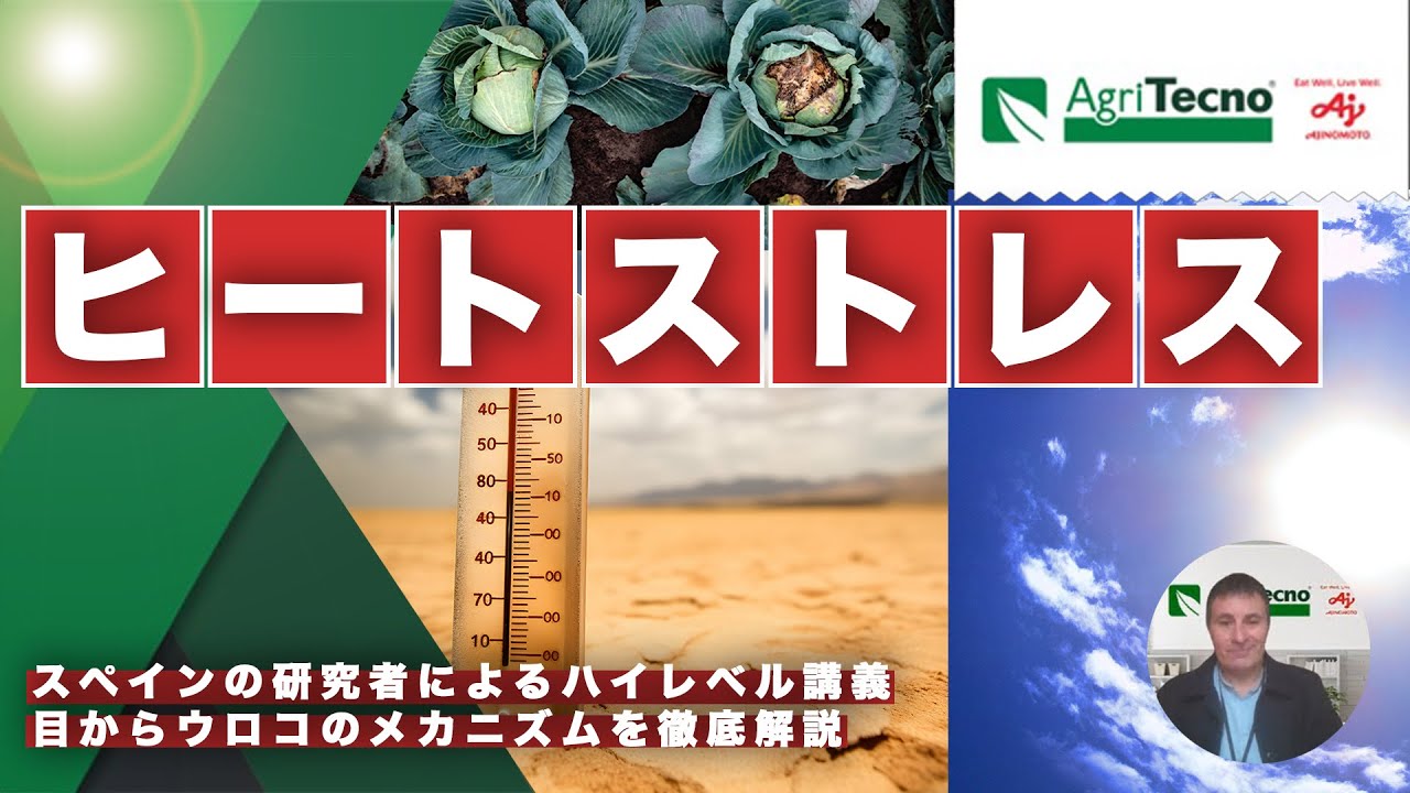 【科学的/徹底解説】ヒートストレスへのバイオスティミュラント施用　農業技術の専門家が科学的に解説します。