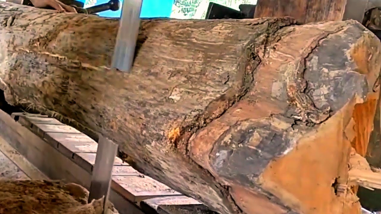 High quality teak wood fiber in sawmill 
