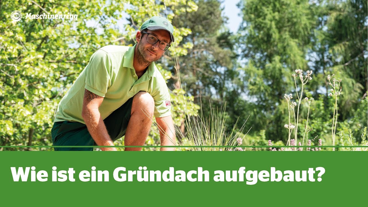 Aufbau und Bepflanzung Gründach