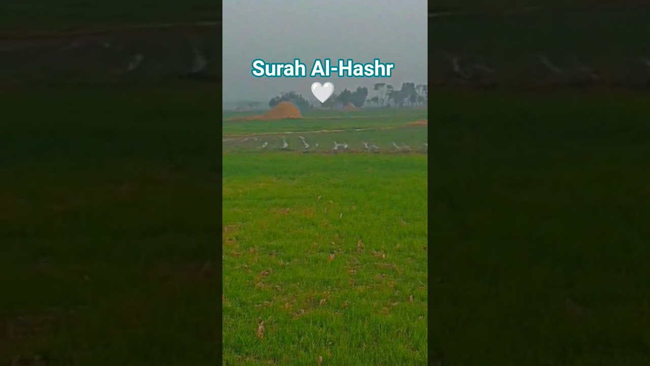 Last 3 Verses Of Surah Al-Hashr 🤍 Relaxing Quran Recitation✨️ 