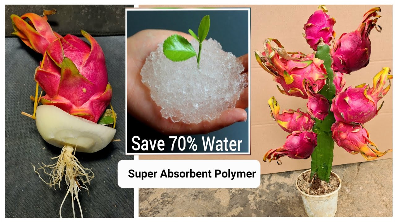 New Farming - Superabsorbent polymers used for agricultural water retention