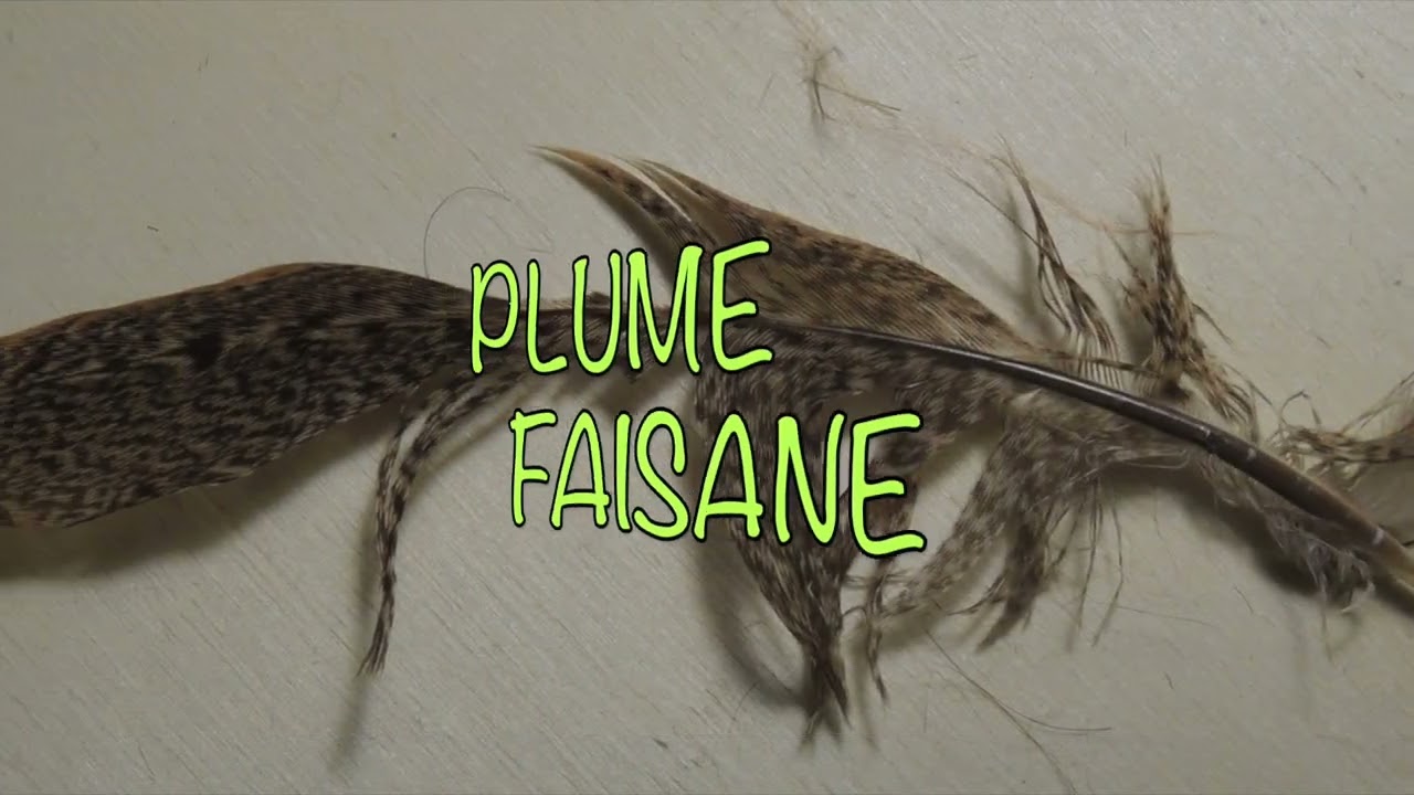 MONTAGE NYMPHE D'OUVERTURE