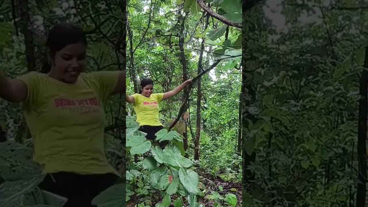 A Hidden Waterfall KEONJHAR #keonjhar #nature #mountains #trekking #rain