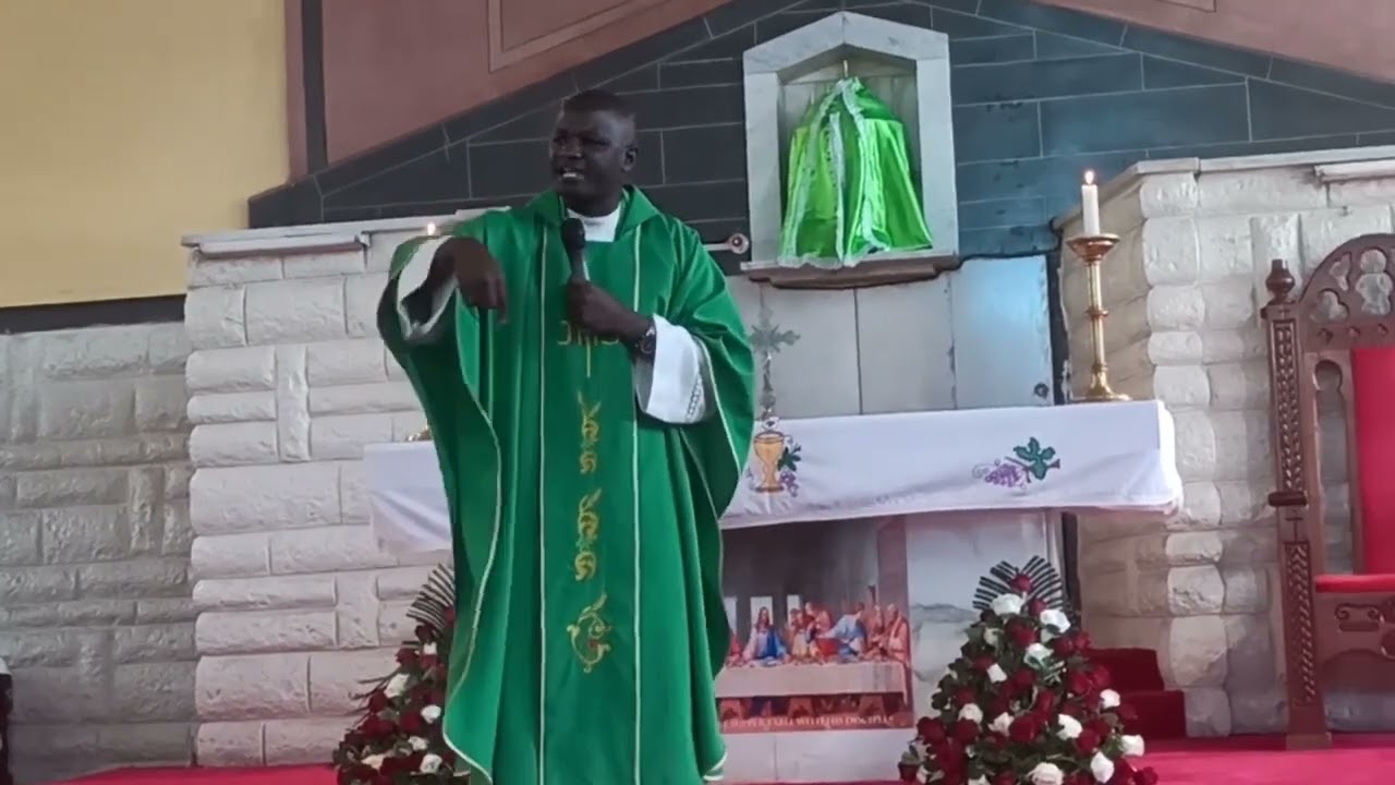 11th Sunday in ordinary time by Fr Steve