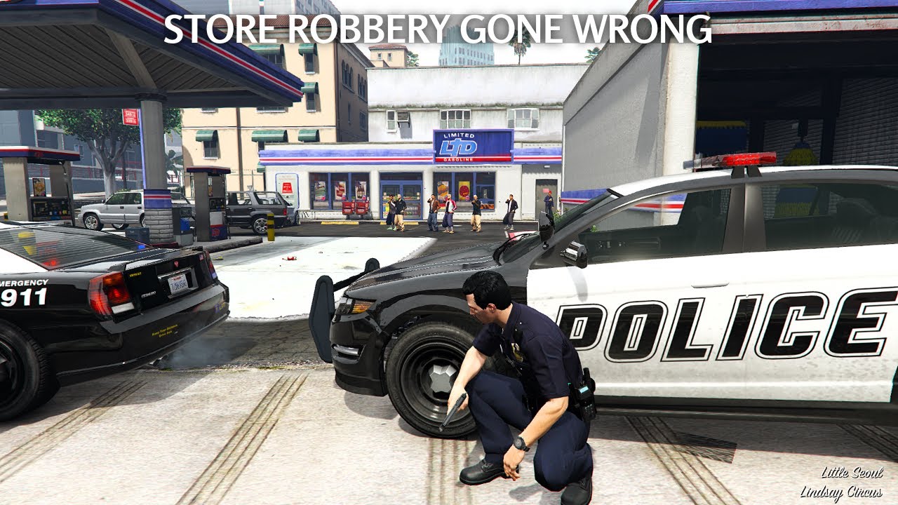 STORE ROBBERY (PARTNER DOWN) | LSPDFR | PB17 PLAYING