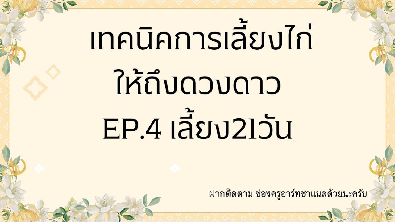 การเลี้ยงไก่ให้ถึงดวงดาว ep.4 21 วัน