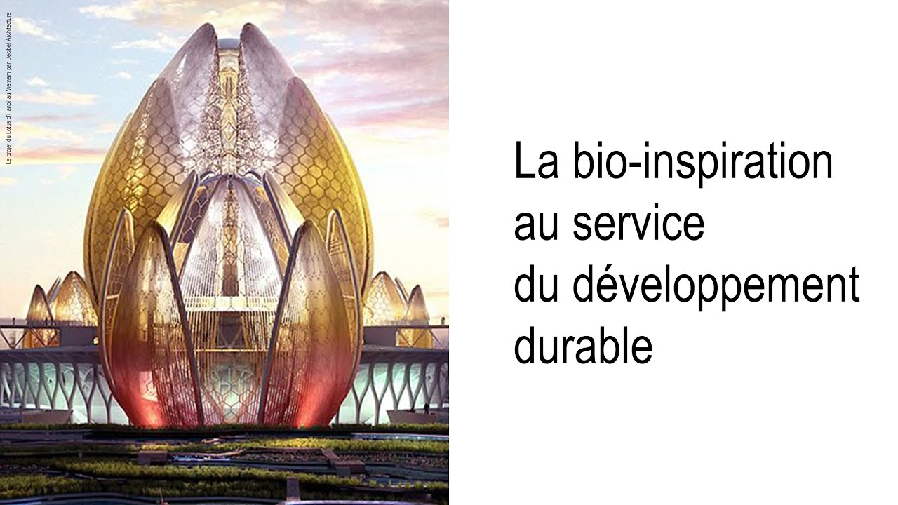 La bio-inspiration au service du développement durable