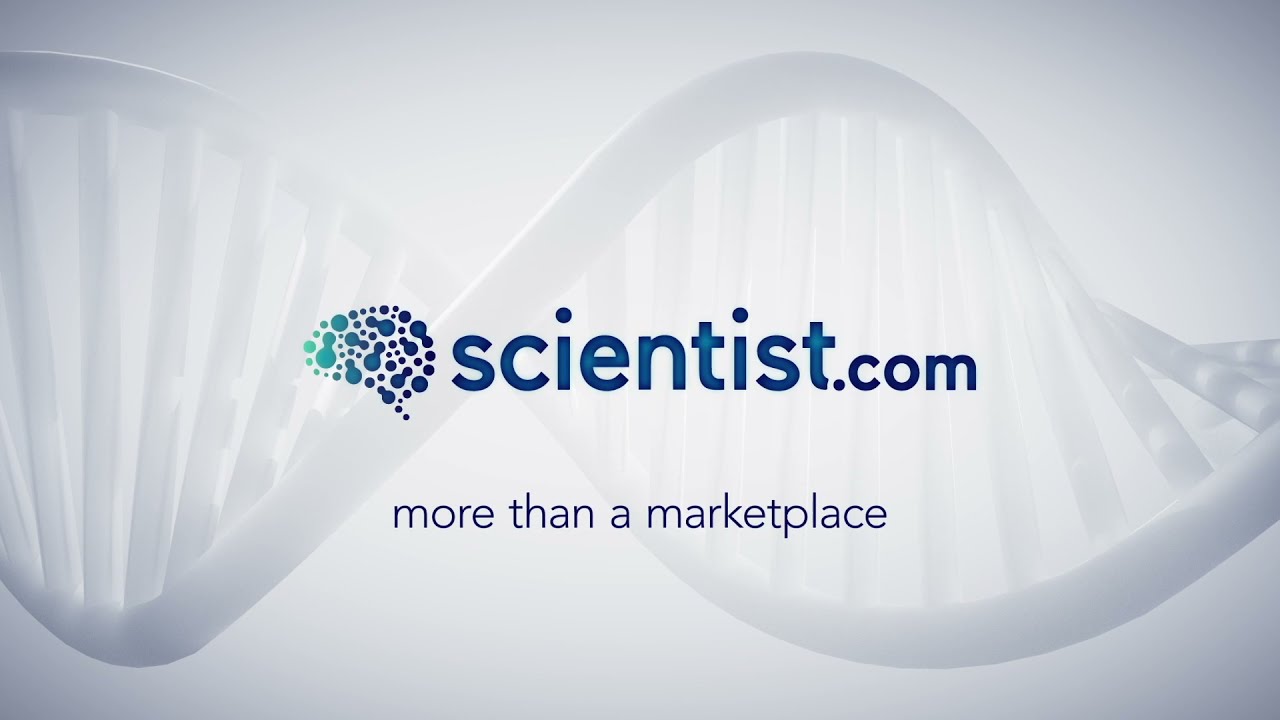 Introducing the Disease Model Finder