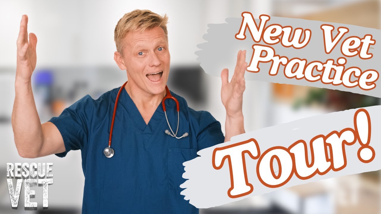 Take a look! Exclusive tour of Dr Scott's new practice...The Chobham Vet! | Rescue Vet Extra