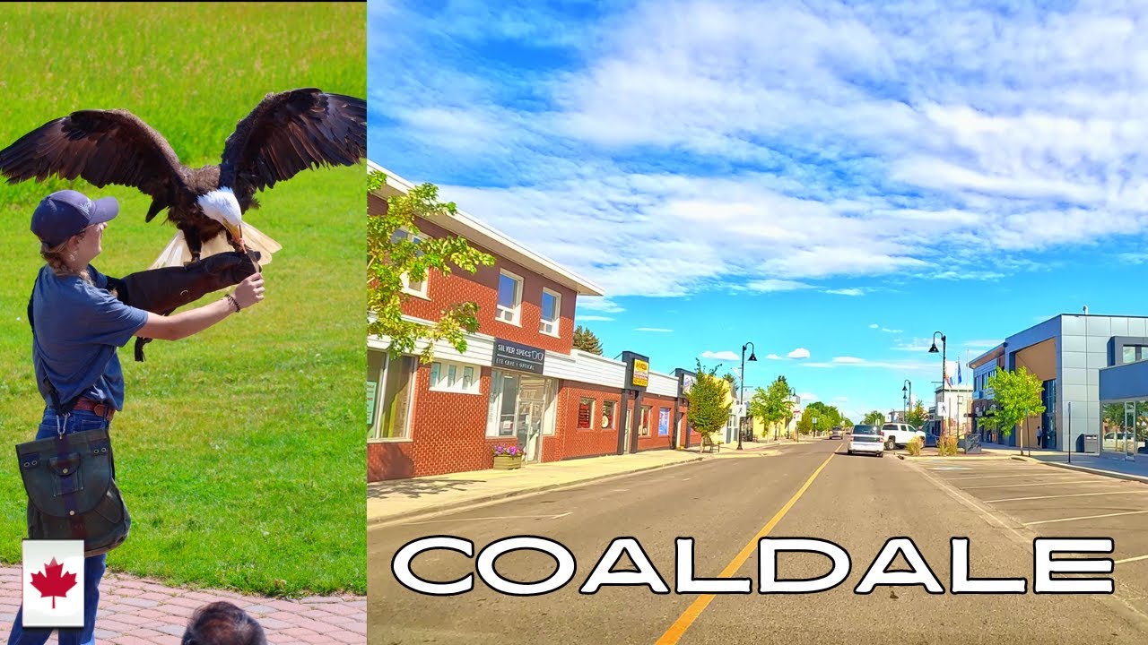 Coaldale Summer of 2024: Road Trip Adventure #travel #roadtrip #coaldale #trendingvideo #canada