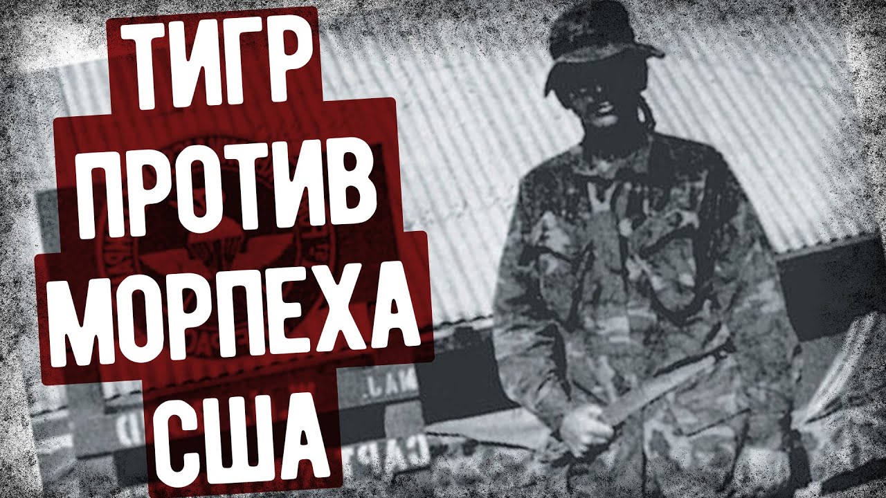 Нападение Тигра На Морпеха США Во Вьетнаме