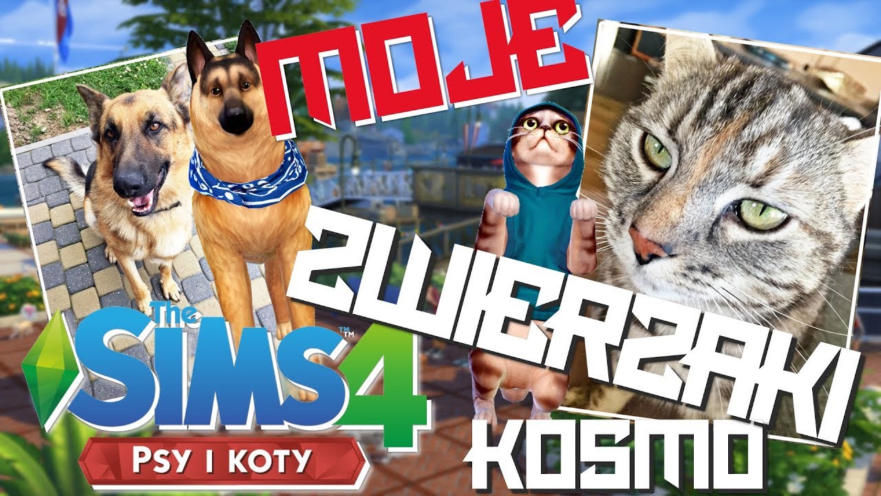 Moje realne zwierzaki w THE SIMS 4 PSY I KOTY |KOSmo|