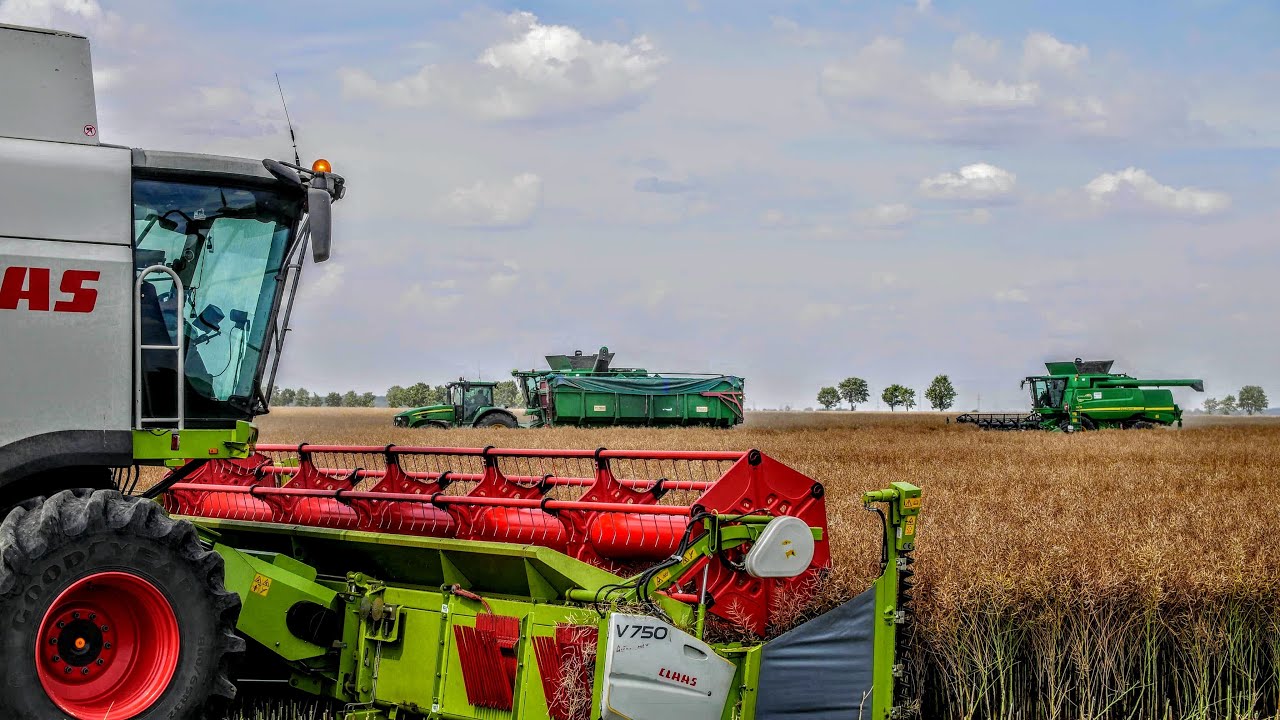 6 KOMBAJNÓW | Wielkie Żniwa 2020 | 500Ha Rzepaku | Big Harvest in Poland | OHZ GARZYN