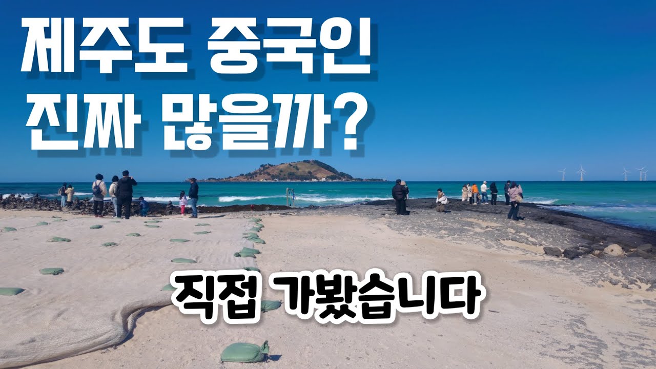 제주도 중국인 많다던데… 직접 가봤습니다 (설날 제주 여행 브이로그)