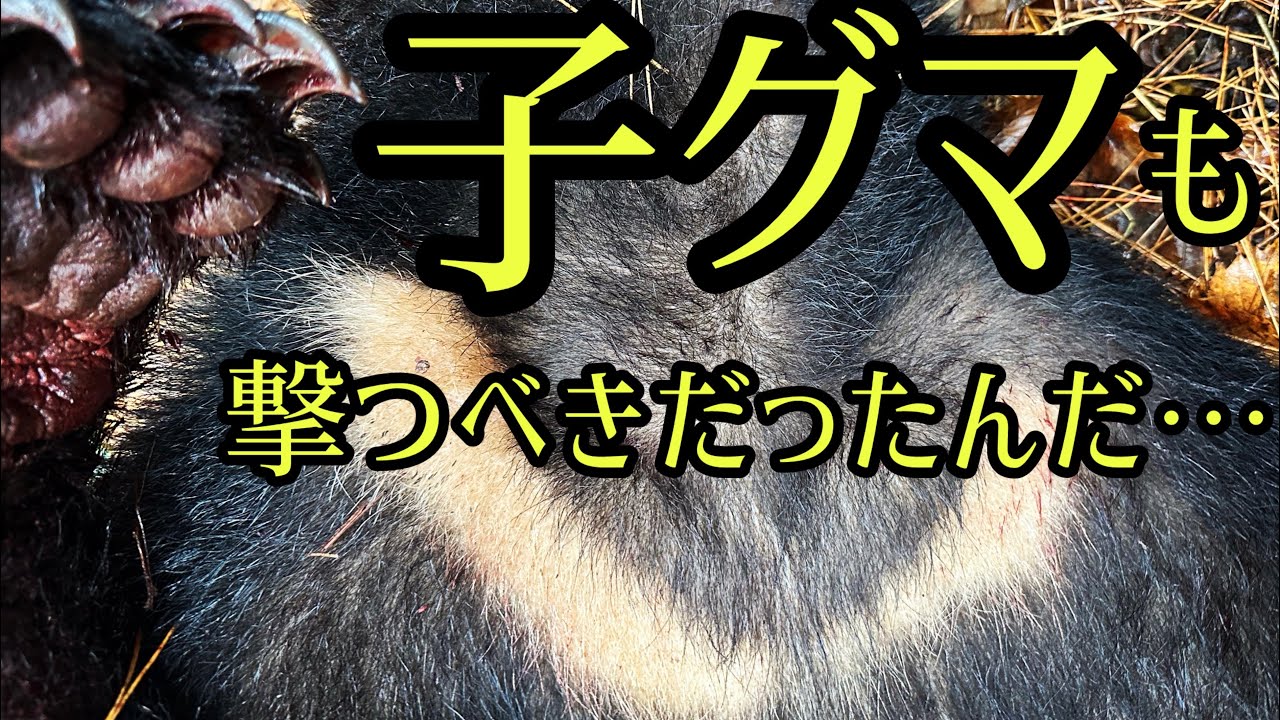 #34  「岩手県 狩猟日記」 ツキノワグマ猟