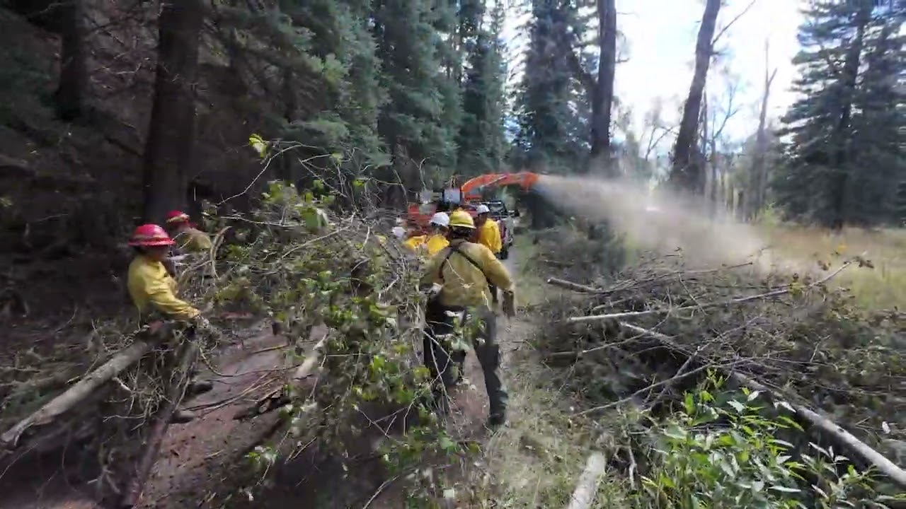 Firefighters Chipping Slash near Stoner, August 27, 2025
