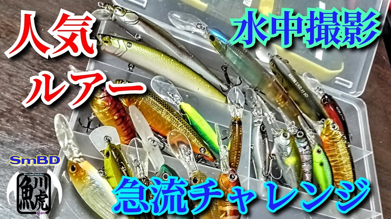 yasu あのルアーを急流で使ってみたら…【川バス釣り】スモールマウスバス2025年8月水中撮影