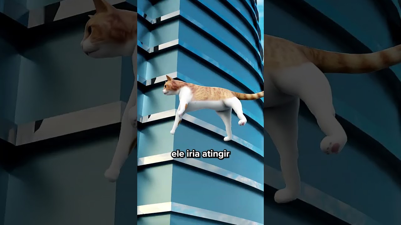 O Que Acontece Se Um Gato Cair Do Pr&eacute;dio Mais Alto do Mundo?