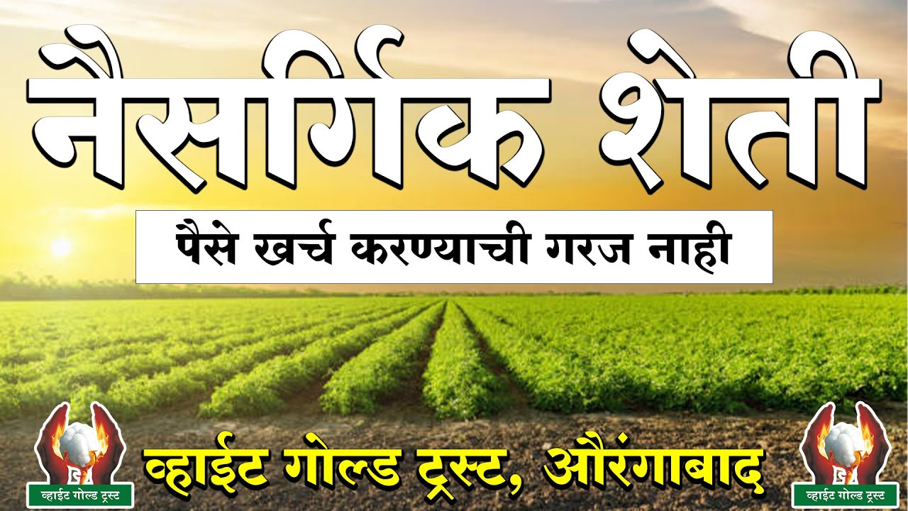 नैसर्गिक शेती व्यवस्थापन ।  #शेती #शेतकरी #शेतिमाहीती #सोयाबीन #कापूस #तूर #उडीद #मूग #हरभरा #भुईमूग