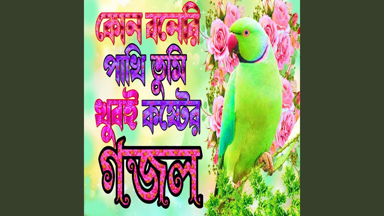 Kun Boneri Pakhi Tomi