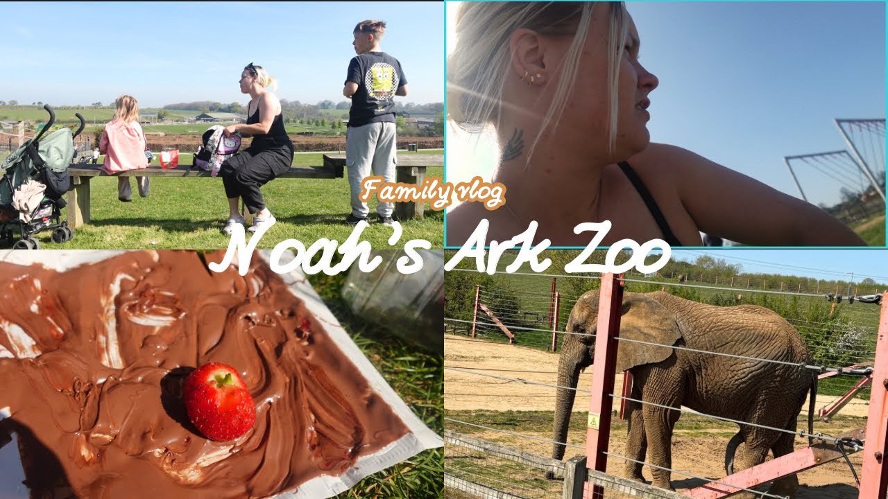 Family zoo trip vlog 🐘Noahs Ark Zoo farm 🎀