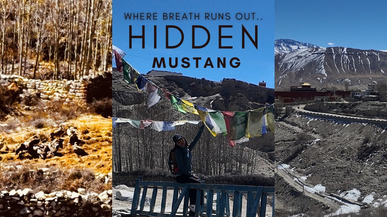 Scary vulture on the way to lomanthang from kimling|| hike || mustang 