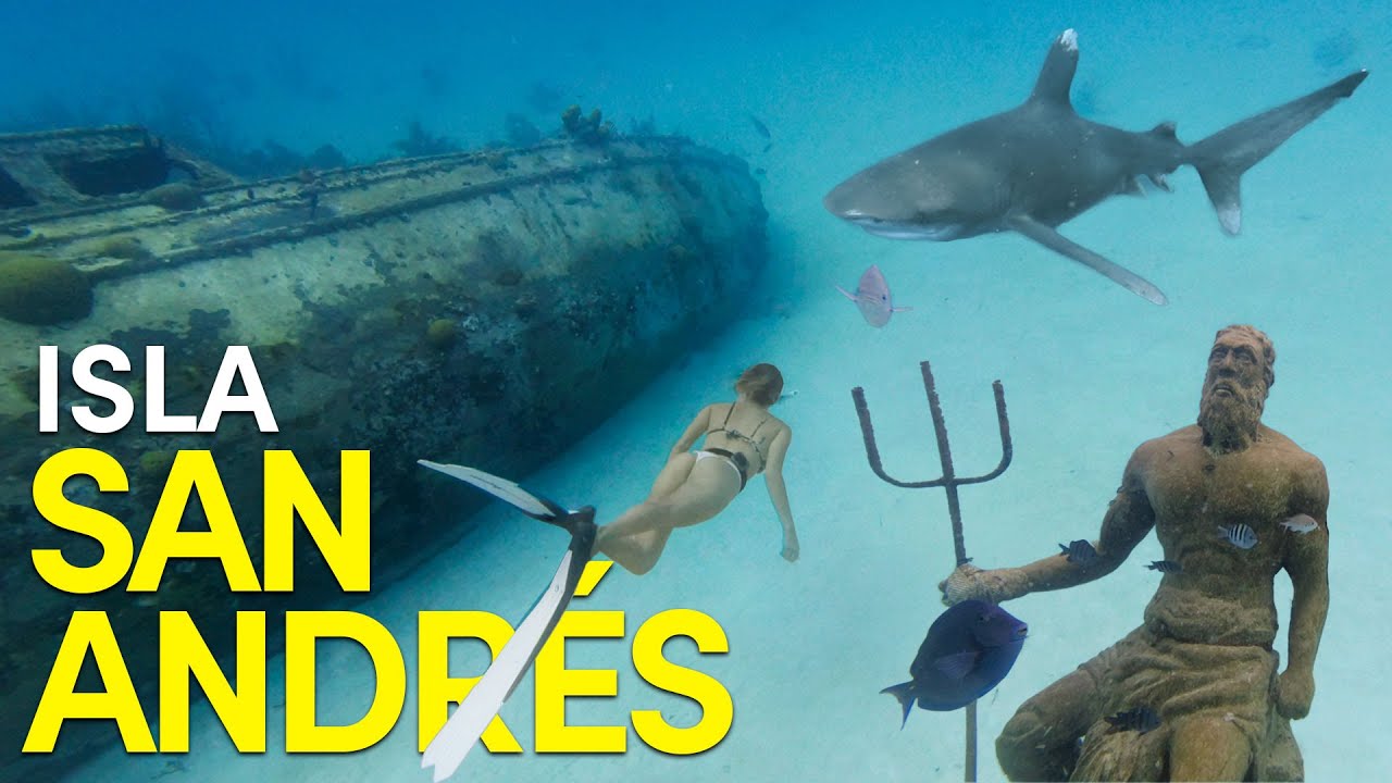 ¿Cómo es Hacer Apnea en la Isla San Andrés - Mar Caribe de Colombia? 🏝️🤿  (+🦈 Tiburón en 4K!)