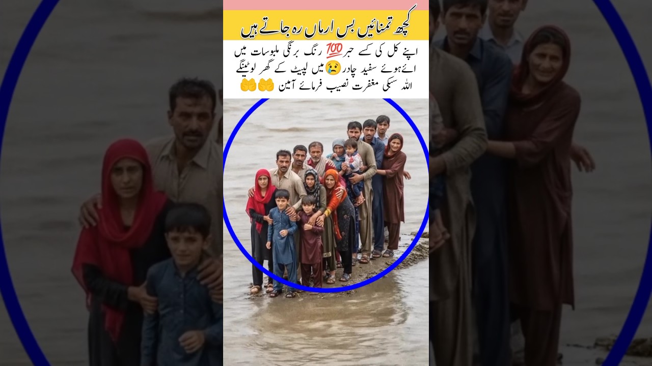 family tour 😁 #tour #faith #love #music #happy #tranding #funny #viral #shorts #short #allah #reels
